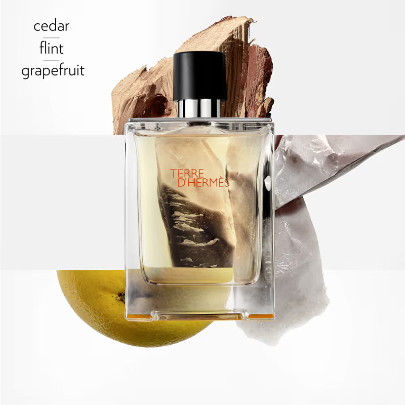 Hermès Terre d’Hermès EDT 100ML
