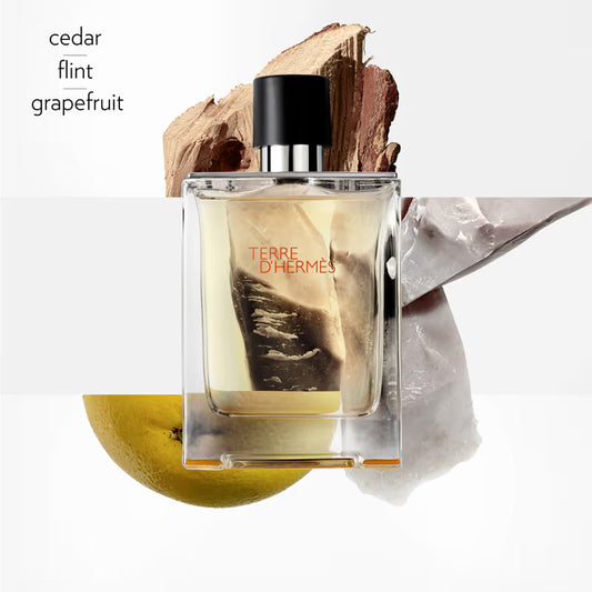 Hermès Terre d’Hermès EDT 100ML